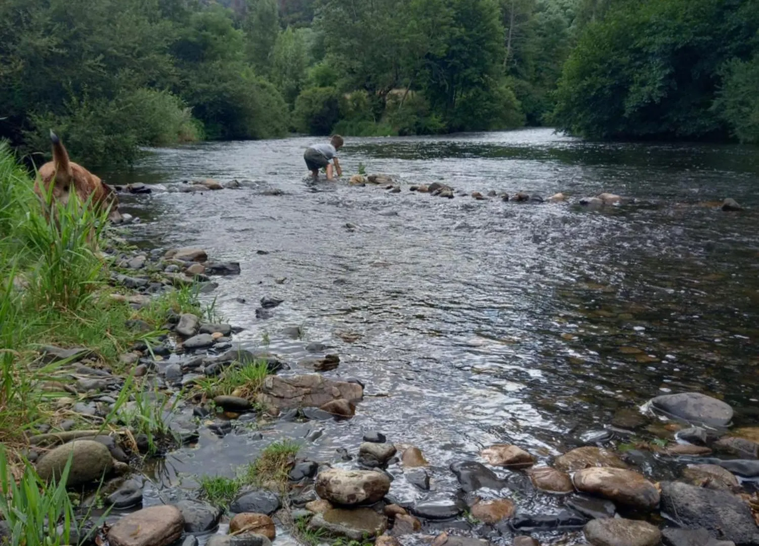 Holiday home Sur Les Rives Du Haut Allier Blassac