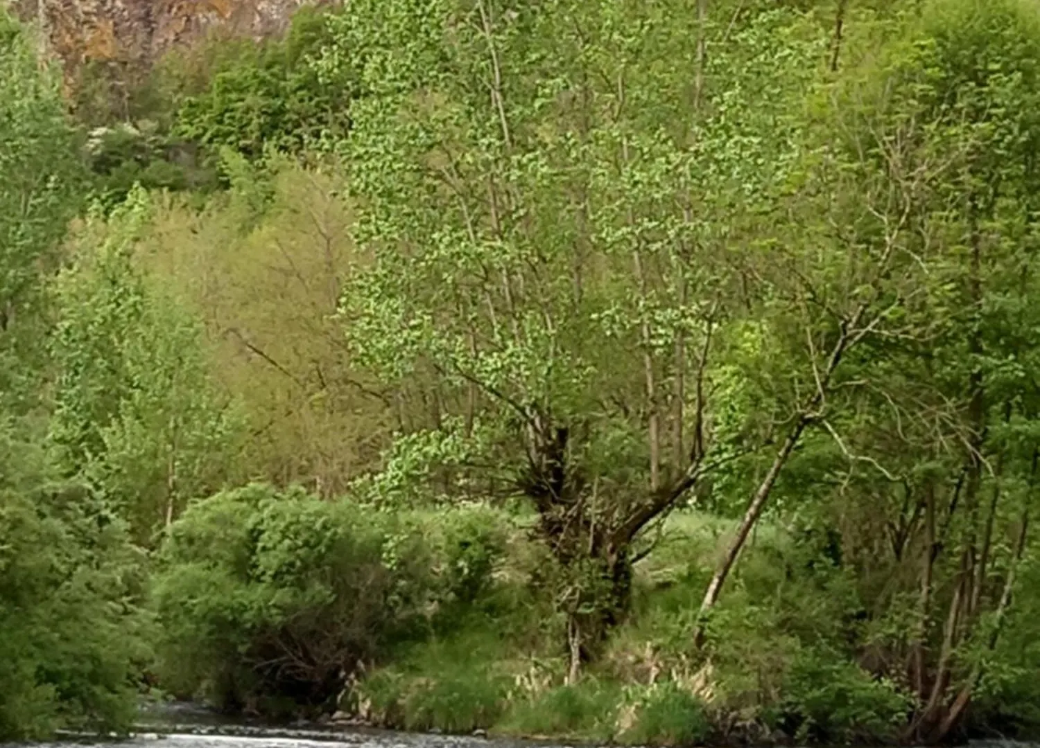 Sur Les Rives Du Haut Allier Blassac France
