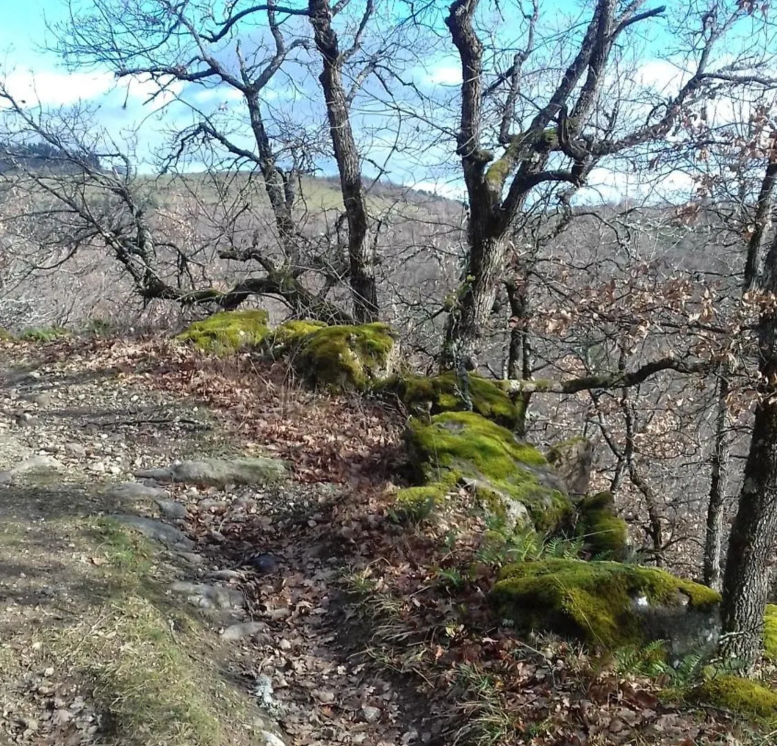 Sur Les Rives Du Haut Allier Blassac Holiday home