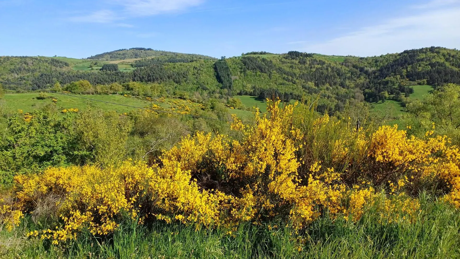 Sur Les Rives Du Haut Allier Blassac France
